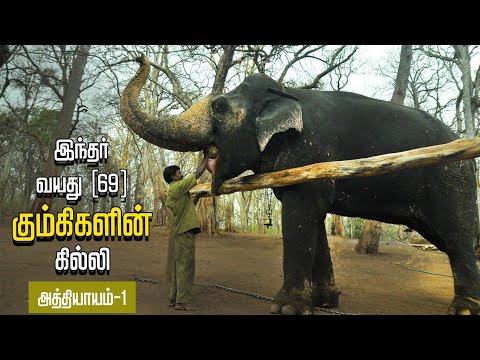 பார்வையிழந்த கும்கியும் அதன் மாவூத்தும்! | Kumki Series | Episode 1