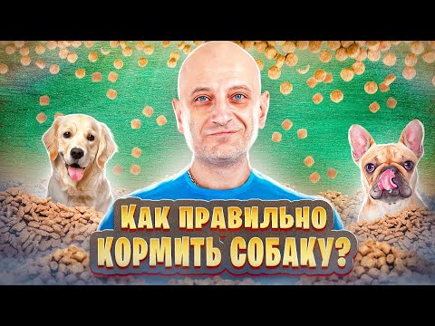 Одно из важнейших правил во время еды