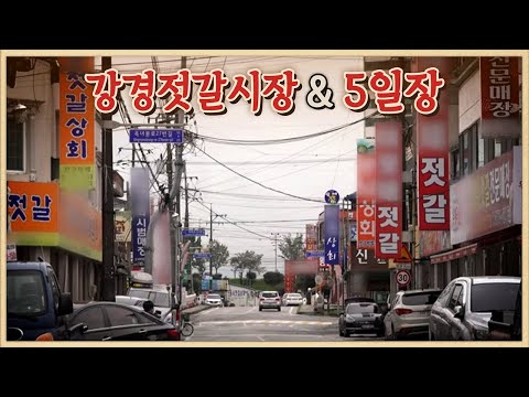 강경5일장의 뻥튀기 노부부/비가 와도 자리를 떠나지 못하는 할머니/강경젓갈시장/3대째 내려오는 새우젓갈의 비밀/강경오일장/오일장터/5일장 투어