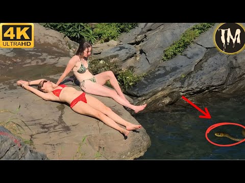 Moments Of Instant Karma Caught On Camera | Instant Regret Fails Compilation 2025 #283