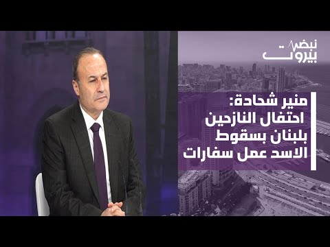 منير شحادة: هذه تفاصيل الطرح المصري لتجنب الضربة وهذا ما يخطط له ويتكوف وبراك للناقورة!