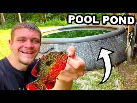 Stocking My Pool Pond with Creek Fish!!