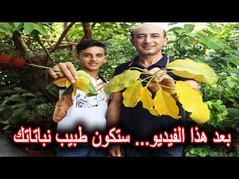 أعراض نقص العناصر و الأمراض على أوراق النباتات و علاجها