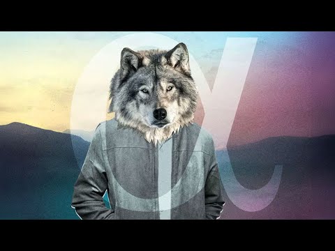 r/AITA My Wife Left Me for an Alpha Male