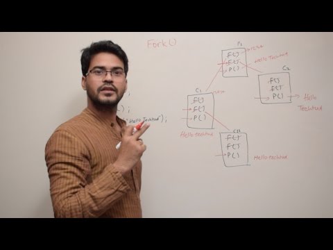 Understanding fork() system call for new process creation