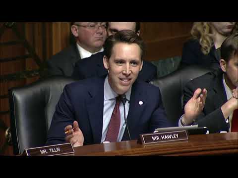 Senator Hawley grills Google on Consumer Privacy