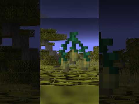 THE RAREST SEED IN MINECRAFT