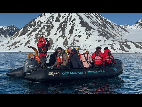 又看到了好多隻北極熊! 水中捕食海豹、平原上追馴鹿 【阿滴日常北極ep.4】