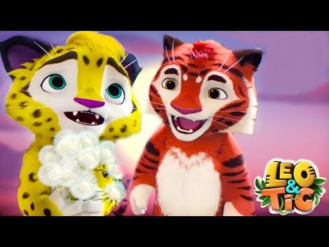 Leo and Tig 🦁 Series in a row 🐯 Funny Family Good Animated Cartoon for Kids