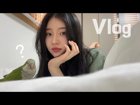 [앵무새 브이로그4] 앵집사가 분조장이 되는 이유ㅣ얼마나 질척거리는지 궁금하시다고요?