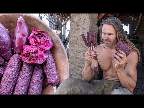 Making Delicious Fruit Candy for Future Food Shortage (episode s2.02)