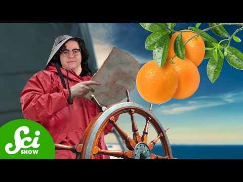 We Forgot How to Cure Scurvy 7ish Times