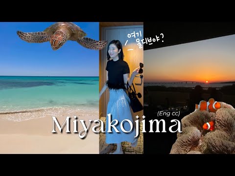 일본의 몰디브 미야코지마 여행|힐튼호텔 · 프라이빗 비치 · 바다거북이 스노쿨링 · 카페 · 맛집