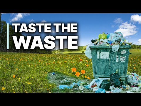 Taste The Waste - Die globale Lebensmittelverschwendung | Köche kochen mit Müll!