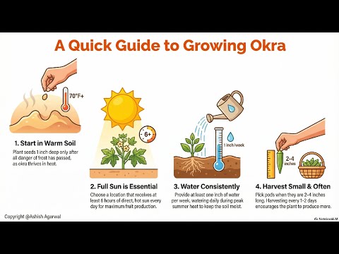 Grow Okra Like a Pro! Lady’s Finger Gardening for Kids 🌿 (Planting, Pests, Harvest & Easy Recipes)