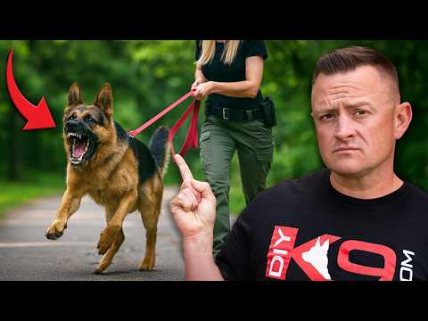 3 Mistakes That Reinforce Your Dog's Reactivity & Aggression