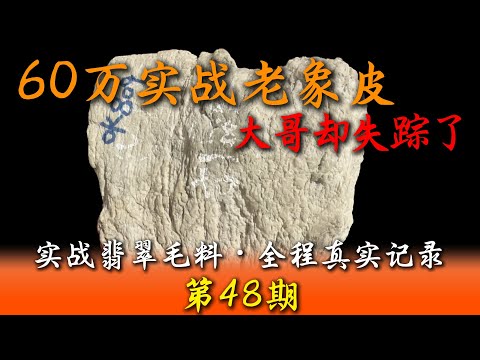 I took a fan to collect jadeite, but after they paid, the person disappeared. I'm completely lost...