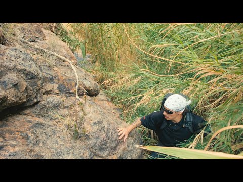 if you don't know what you want.