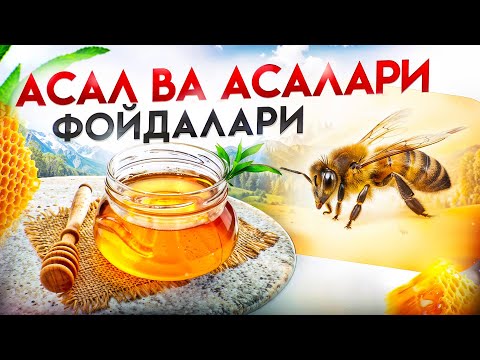 Асал ва асалари фойдалари | Доктор Гулбаҳор