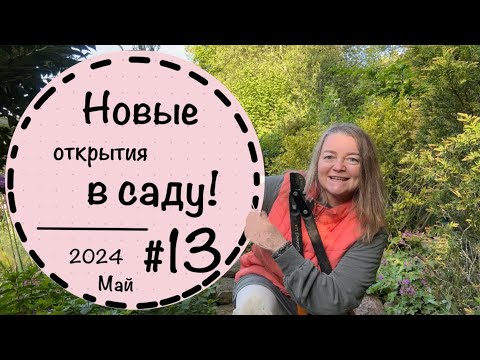 ☘️Прогулка по саду - 13 ☘️Конец мая невероятно красивый☘️ Приглашаю на прогулку по саду☘️ Май 2024
