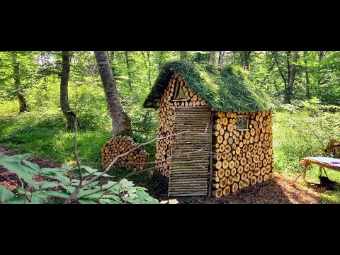 Secret Methods of Building a Wooden Cottage in an Amazing Forest