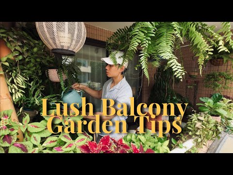 Beginner Tips for a Lush Balcony Garden: Plant Recommendations & Propagation