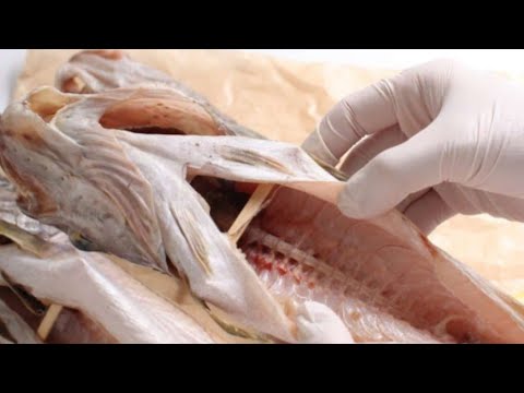 반건조대구 과메기 서리태단백질 외