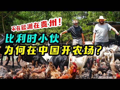 比利时小伙在中国从0建农场，称当农民比打工人更有意义！【我住在这里的理由 341】小镇外国人篇 中集