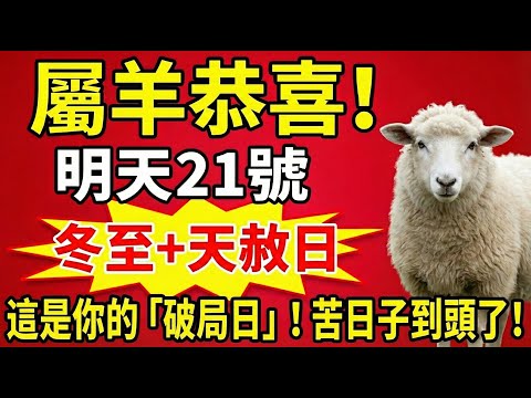屬羊人恭喜！明天21號，冬至遇上天赦日，你的苦日子終於到頭了！這是80年一遇的「破局日」！富貴躲都躲不掉！#屬羊 #屬羊運勢 #冬至 #天赦日 #屬羊運勢 #財運 #轉運 #生肖羊運勢 #算命 #風水