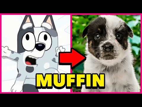 BLUEY CHARACTERS in REAL LIFE