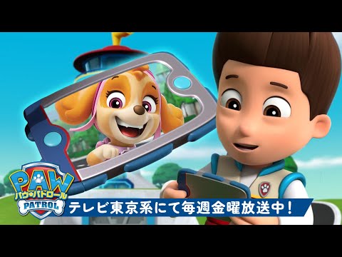 パウ・パトロール | ライダーがパウ・パトロールの子犬たちを見張り塔に呼びます！#11 スカイと一緒に | 120分  | テレビ東京系にて放送中