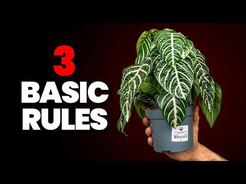 I Stopped Killing Plants As Soon As I Knew This