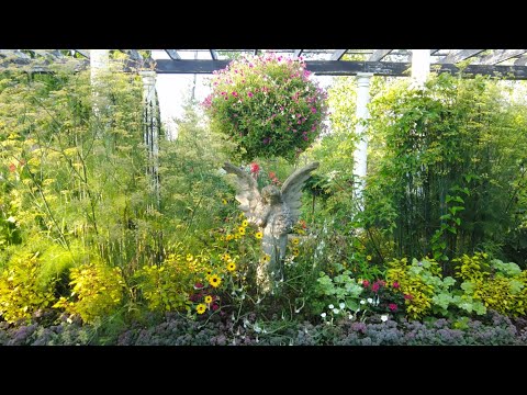 A Magical Late Summer Garden Tour - Herbs, Blooms and More