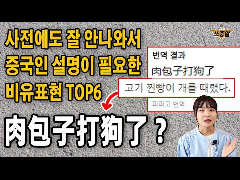 중국인 도움 없이는 뜻을 알 수 없는 중국어표현 [중고급]