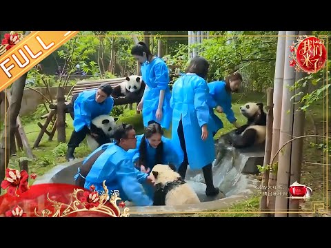 【FULL】《我们来了》女神变迷妹争当熊猫铲屎官 T台秀谢娜惨摔倒 20160826 Up Idol【芒果TV生活风尚频道】