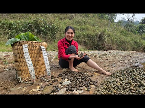 The girl left the city to live in the forest – to experience life in the wild.