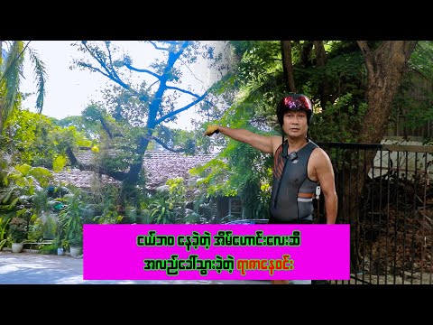 ရွှေတောင်ကြားထဲမှာ အိမ်တစ်လုံးစီနဲ့ ကျောချင်းကပ်နေကြတဲ့ ရာဇာနေဝင်းတို သားအမိ