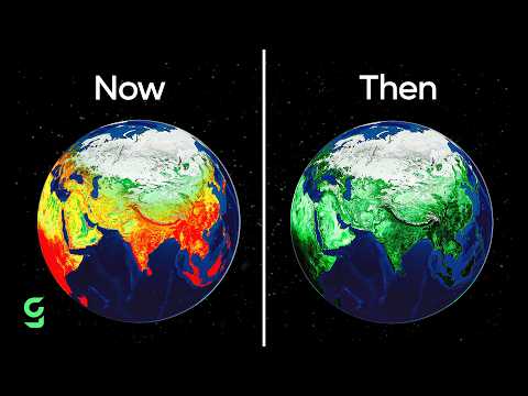 What If We Planted 1 Trillion Trees?