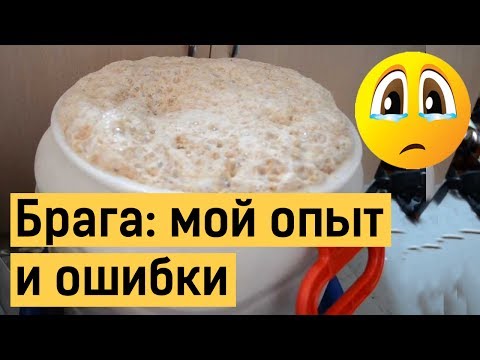 Брага: опыт, ошибки, ответы на часто задаваемые вопросы. Когда брага готова?