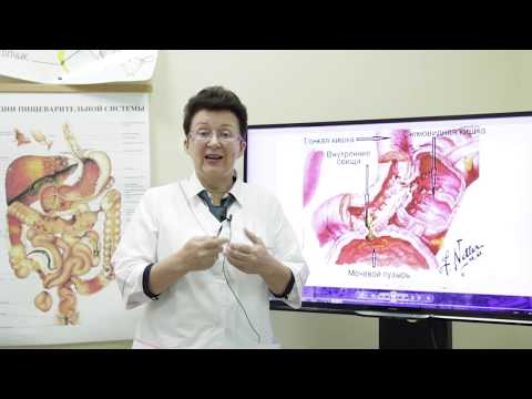 Blood in urine and stool. What it is and how to treat it.