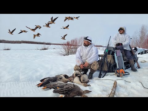 ОХОТА НА ГУСЯ НА КОЛЫМЕ ВСЕ СЕРИИ! +1ЧАС 20 МИН! GOOSE HUNTING IN SIBERIA ALL SERIES.