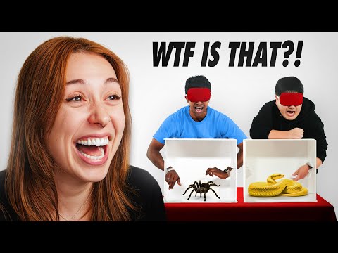 EXTREME WHAT'S IN THE BOX CHALLENGE