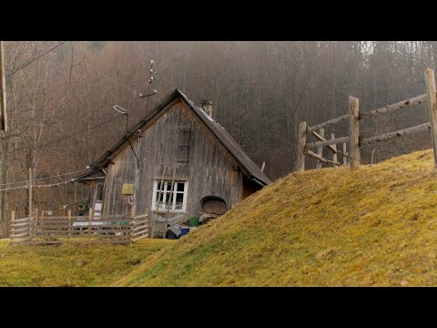 Edge of Wilderness: Survival And Happy Family Life in Secluded Mountains