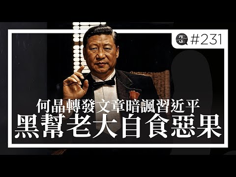 何晶轉發文章暗諷習近平，黑幫老大自食惡果。EP231