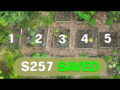 Survive Inflation: Grow These 5 Crops