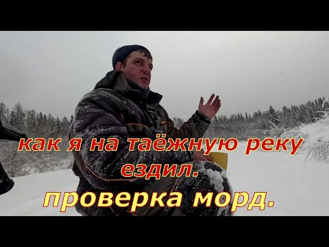 How I went to a taiga river. Checking faces.