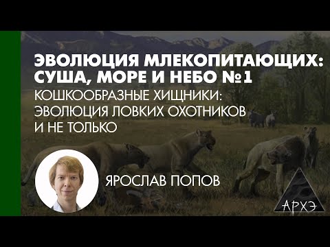 Ярослав Попов: «Кошкообразные хищники: эволюция ловких охотников и не только» (Л.1)