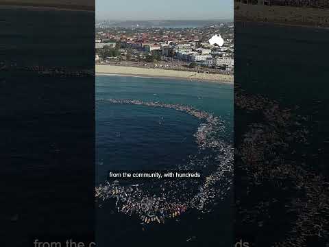 Police confirm seven Melbourne men detained in Sydney’s west have been released