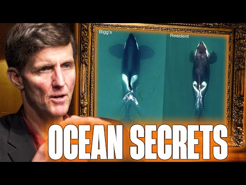 This Is How Much We Don’t Know About the Ocean