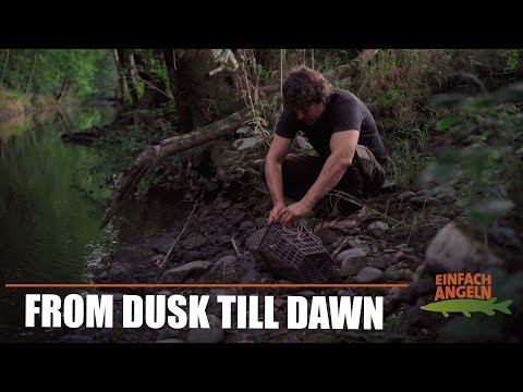 From Dusk Till Dawn | Catch and eat freshwater crayfish!